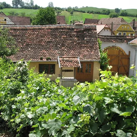 Convivium Transilvania