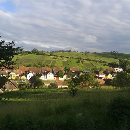 Convivium Transilvania